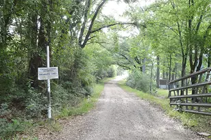 482 Rs County Road 1532, Point, TX 75472 - Photo 9