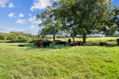 324 E Highway 6, Iredell, TX 76649 - Photo 7