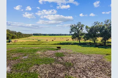 324 E Highway 6, Iredell, TX 76649 - Photo 13