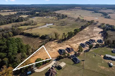 Lot 1 Cr 4323, Pittsburg, TX 75686 - Photo 3