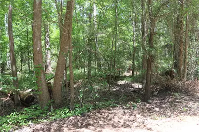 Tbd Private Road 8565, Winnsboro, TX 75494 - Photo 5