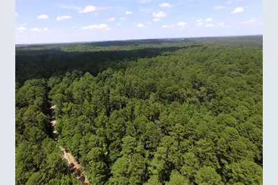 Tbd Private Road 8565, Winnsboro, TX 75494 - Photo 15
