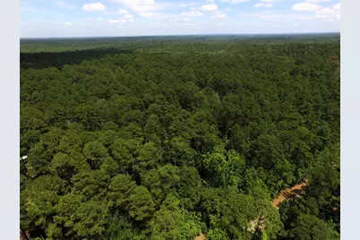Tbd Private Road 8565, Winnsboro, TX 75494 - Photo 11