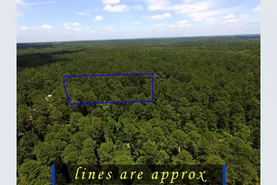 Tbd Private Road 8565, Winnsboro, TX 75494 - Photo 13