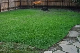 10911 River Oaks Dr, Frisco, TX 75035 - Photo 3