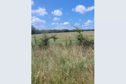 2441 County Road 3512, Dike, TX 75437 - Photo 3
