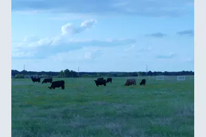 644 Macs Grocery Road, Bowie, TX 76230 - Photo 35