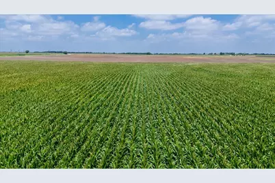 Tbd Hcr 3214 Tbd Hcr 3214, Bynum, TX 76631 - Photo 11