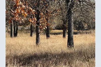 Tbd Private Road #1403, Morgan, TX 76671 - Photo 7