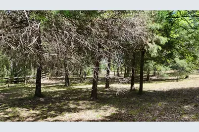 Lot 81 Appomattox, Streetman, TX 75859 - Photo 17