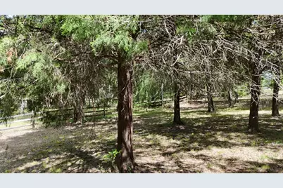 Lot 81 Appomattox, Streetman, TX 75859 - Photo 25