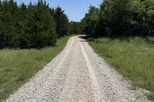 5464 Co Rd 1120, Farmersville, TX 75442 - Photo 3