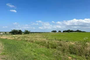 Lot 20 Monarch Ct, Poolville, TX 76487 - Photo 1
