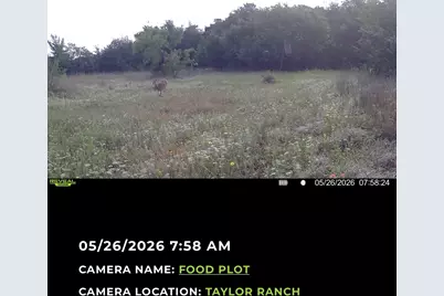 224 Hcr 3350 N, Hubbard, TX 76648 - Photo 33