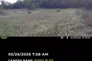 224 Hcr 3350 N, Hubbard, TX 76648 - Photo 33