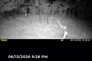 224 Hcr 3350 N, Hubbard, TX 76648 - Photo 35