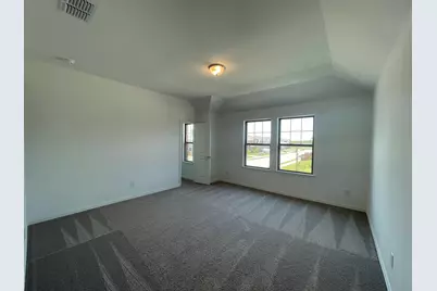 2402 Lemon Mint Lane, Melissa, TX 75454 - Photo 19