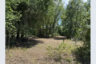 204 Kanakoa Drive, Tool, TX 75143 - Photo 5