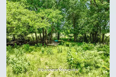 7008 Cr-1019, Wolfe City, TX 75496 - Photo 19