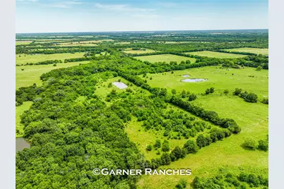 7008 Cr-1019, Wolfe City, TX 75496 - Photo 9