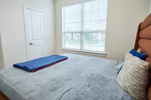 6029 Wildflower Wy, Little Elm, TX 76227 - Photo 21
