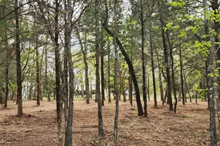 Lot 465 Cr-4710, LaRue, TX 75770 - Photo 17