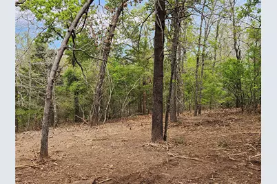 Lot 465 Cr-4710, LaRue, TX 75770 - Photo 15