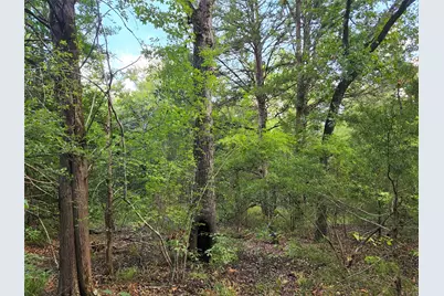 Lot 465 Cr-4710, LaRue, TX 75770 - Photo 23