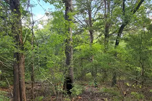 Lot 465 Cr-4710, LaRue, TX 75770 - Photo 23