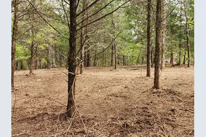 Lot 465 Cr-4710, LaRue, TX 75770 - Photo 11