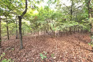 Lot 465 Cr-4710, LaRue, TX 75770 - Photo 19