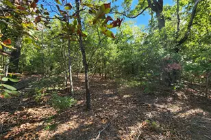 Lot 465 Cr-4710, LaRue, TX 75770 - Photo 25
