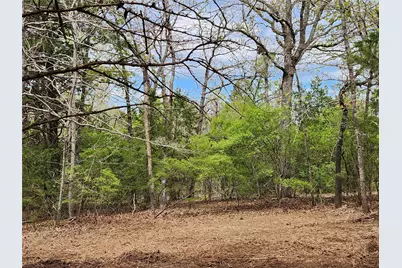 Lot 465 Cr-4710, LaRue, TX 75770 - Photo 9