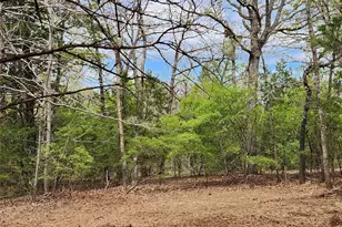 Lot 465 Cr-4710, LaRue, TX 75770 - Photo 9