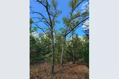Lot 465 Cr-4710, LaRue, TX 75770 - Photo 21