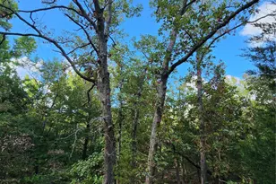 Lot 465 Cr-4710, LaRue, TX 75770 - Photo 21