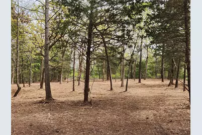 Lot 465 Cr-4710, LaRue, TX 75770 - Photo 3