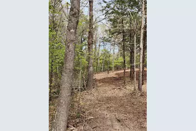Lot 465 Cr-4710, LaRue, TX 75770 - Photo 5