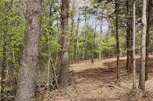 Lot 465 Cr-4710, LaRue, TX 75770 - Photo 5