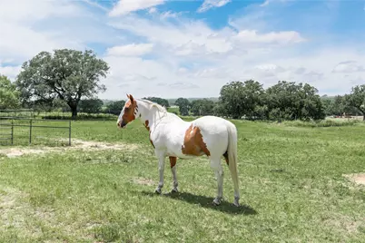 3718 Highway 36 W, Rising Star, TX 76471 - Photo 27