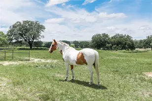 3718 Hwy 36 W, Rising Star, TX 76471 - Photo 27