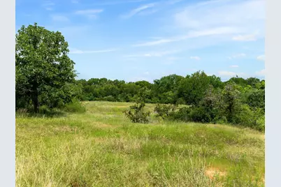 115 Pecan Grove Drive, Boyd, TX 76023 - Photo 19