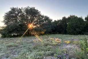 125 Co Rd 403, Goldthwaite, TX 76844 - Photo 3