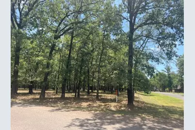 146 St Andrews Drive, Mabank, TX 75156 - Photo 3