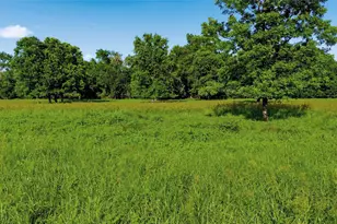 500 County Rd 1300, Lake Creek, TX 75450 - Photo 35