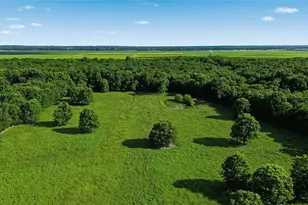 500 County Rd 1300, Lake Creek, TX 75450 - Photo 3