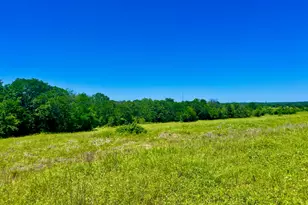Lot 19 Kilkenny Rd, Poolville, TX 76487 - Photo 1