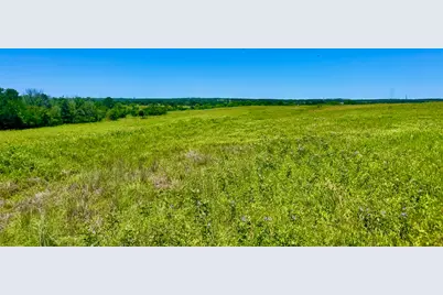 Lot 19 Kilkenny Rd, Poolville, TX 76487 - Photo 3