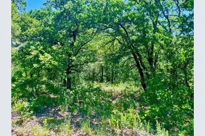 Lot 39 Kilkenny Road, Poolville, TX 76487 - Photo 3