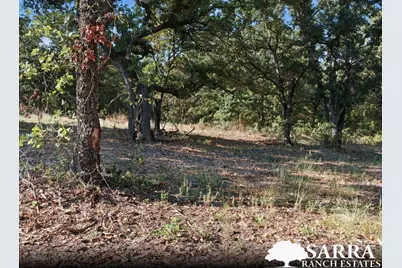 Lot 39 Kilkenny Road, Poolville, TX 76487 - Photo 5